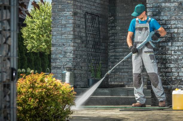 Best Animal Enclosure Cleaning  in Redington Shores, FL