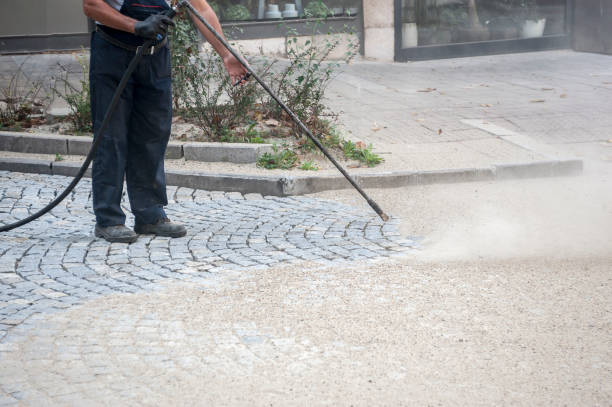 Best Fence Cleaning  in Redington Shores, FL
