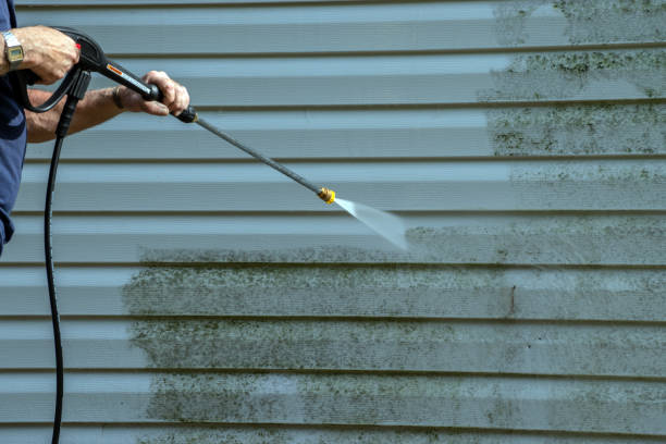 Best Sidewalk and Walkway Cleaning  in Redington Shores, FL