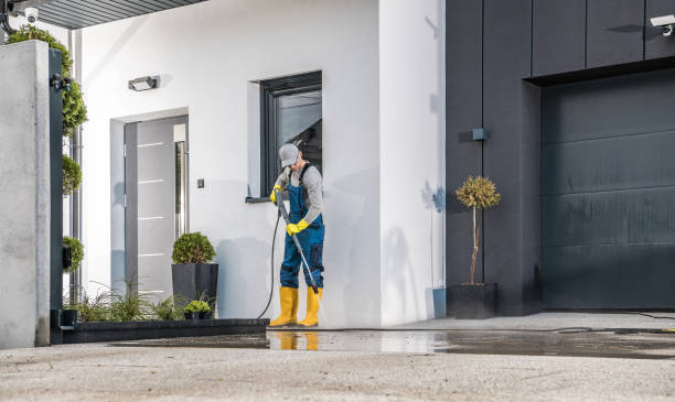 Best Gutter Cleaning  in Redington Shores, FL